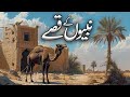 Nabio Kay Qissay Qasas Ul Ambiya Allah Kay Pyaray Nabio Ki Zindagi Kay Waqiat
