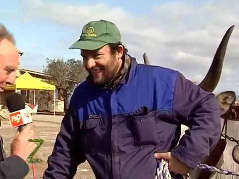 Zonattiva - Azienda agricola Badia Vecchia