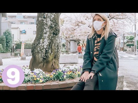 在日本沒有工作的一天