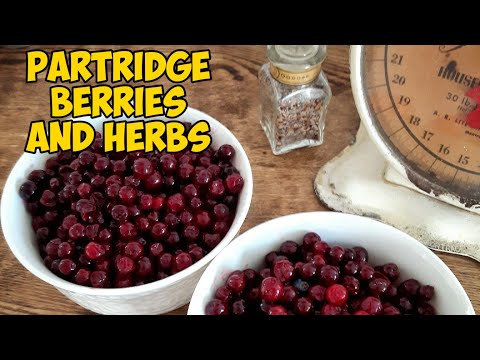 Partridge berries / veggie question / herbs