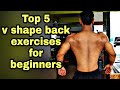Back Excercises for Beginners