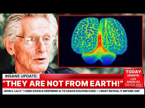 John C. Lilly: “I Used Google DeepMind AI to Crack Dolphin Code — I Must Reveal It Before I Die”