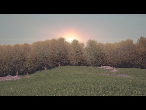 FOREST PACK 5 FOREST SCENE TUTORIAL "OVERALL"