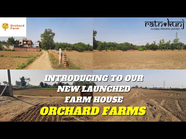 Farm house in Jewar Greater Noida for Sale | Orchard Farm