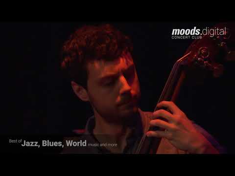 Melismetiq - New River, New Water (by Shai Maestro)