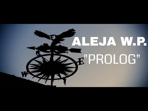 🎶👀 NOŁNEJMOWA DYSKOGRAFIA #3 (AlejaWP) PROLOG  Prolog  prod  Fleczer