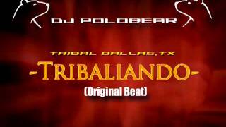 Dj PoloBear - Tribaliando_(Original Beat)