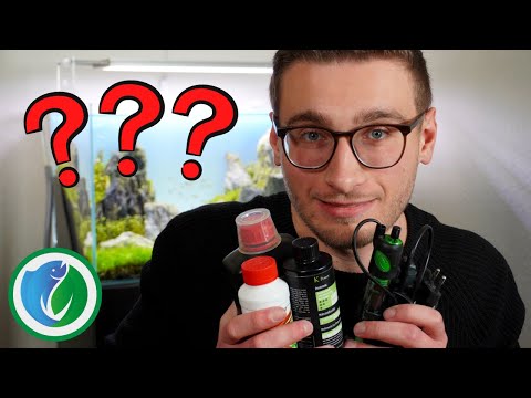 Was brauchst du WIRKLICH als Anfänger? - Aquaristik für Anfänger