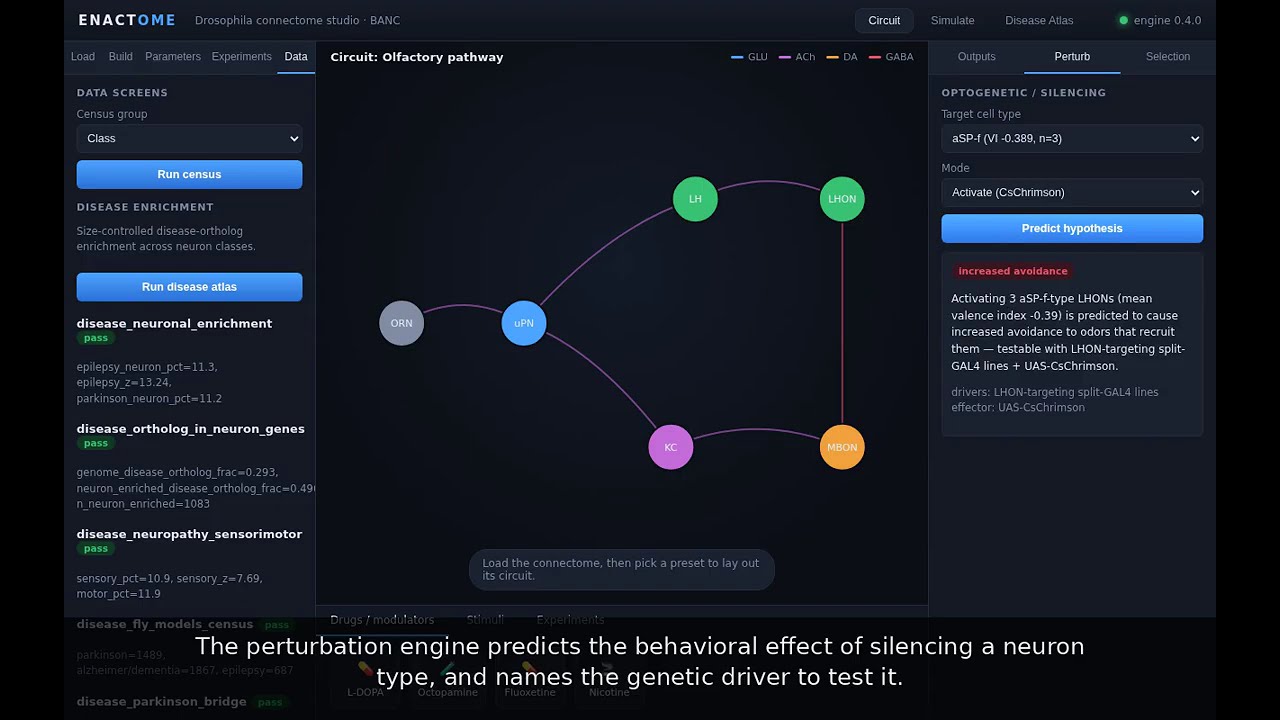MKTurkcan project preview