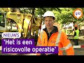 Bomen naar begraafplaats om gered te worden