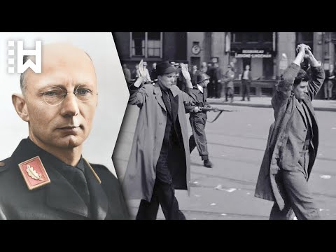 Hinrichtung von niederländischem Nazi-Verräter & seiner Frau: Letzte Rache tötete Dutzende