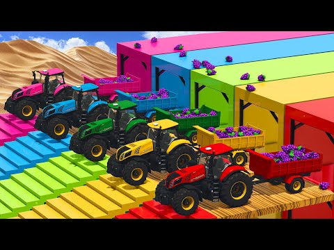 Watch These Monster NEW HOLLAND Tractors Take On The IMPOSSIBLE Challenge with Grapes!