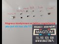Pionek do tablicy gabloty magnetyczny magnes neodymowy - 1
