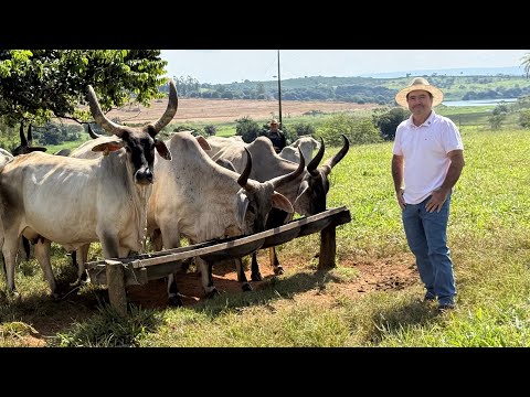 Assista ao vídeo