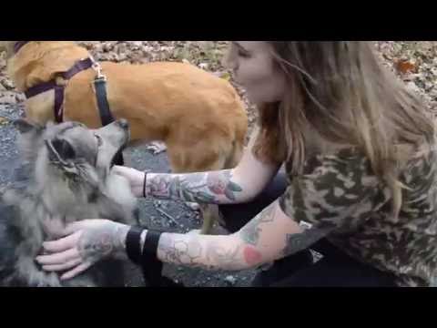 Constitution Drive 10.30.16