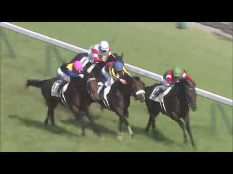 2018 Tokyo Yushun (Japanese Derby) (G1)