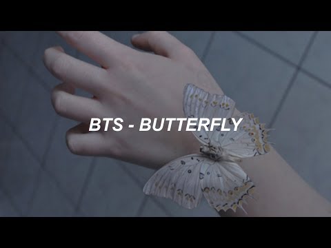 BTS (방탄소년단) 'Butterfly' Easy Lyrics