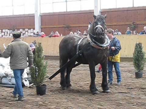 Těžký tah - 1400kg