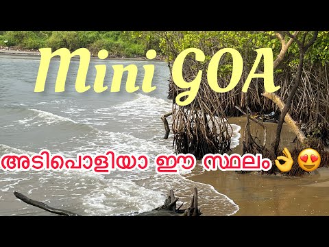 Mini GOA/കൊളാവിപ്പാലത്തെ അടിപൊളി ബീച്ചിൽ ഒരിക്കൽ പോയാൽ പിന്നെ..
