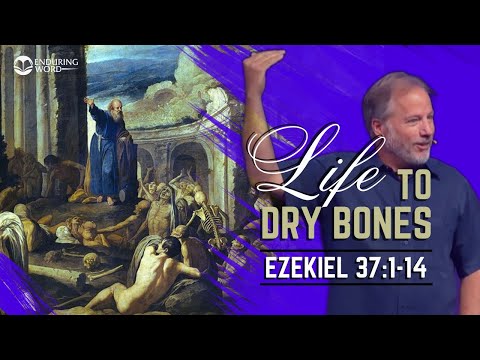 Life to Dry Bones | Ezekiel 37:1-14