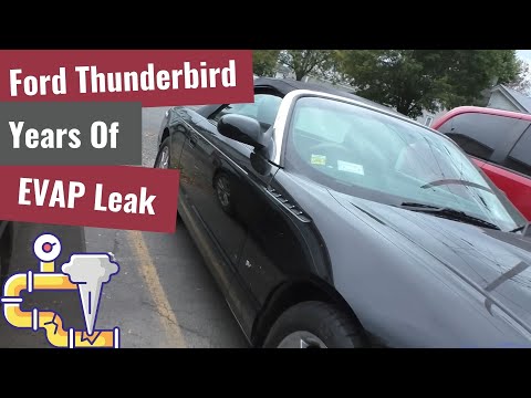 Chasing a Stubborn EVAP Leak on a Ford Thunderbird! Years of Gas Caps and No Fix… Until Now