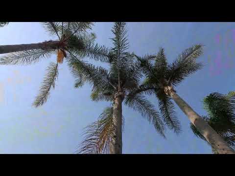 8182 Artesia Blvd - Video 1 of 2