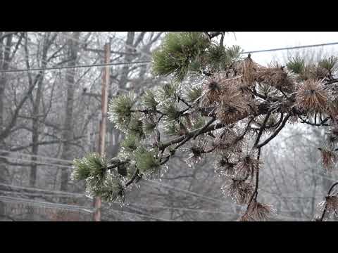 02-11-2021 Memphis, TN - Significant Ice - Light Snow - Drone of Icy Roads & I240