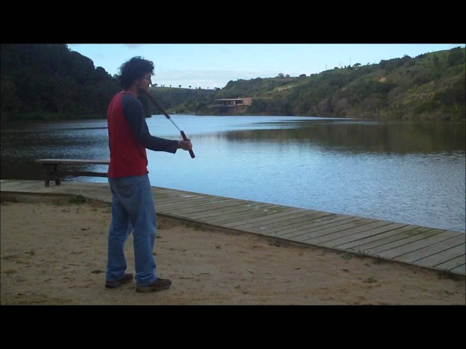 Dolphin aerial from far shoulder