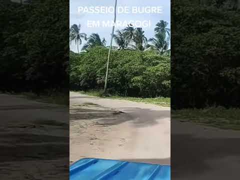 #praia #maragogi #alagoas #turismo