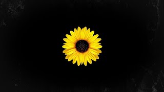 Download lagu [FREE] Old School Boom Bap Type Beat 'Pulse' | Underground Hip Hop Rap Instrumental | Doz Beats mp3