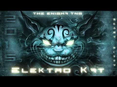 Electro House - Elektro Kat