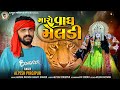 Alpesh Pirojpur Maro Vagh Meldi New Letest Gujarati Song Bapjistudio In