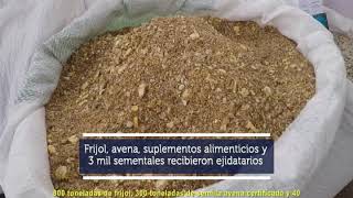 ENTREGA AISPURO APOYOS A PRODUCTORES DEL NORTE DEL ESTADO