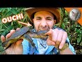 Snapping Turtle BITES Me AGAIN