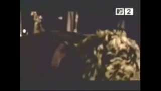 Green Day   Don't Want To Know If You Are Lonely