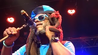 Steel Pulse - Your House - live in France 2015