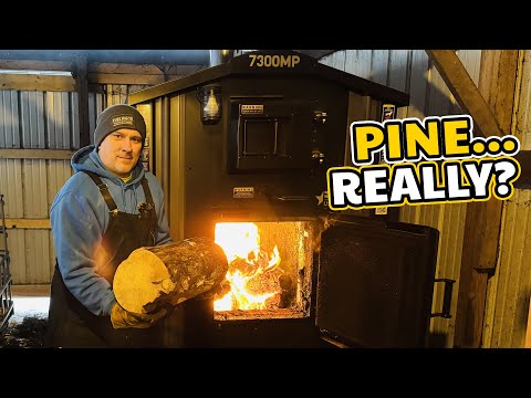 Can You Burn Pine in a Boiler? Here’s the Truth