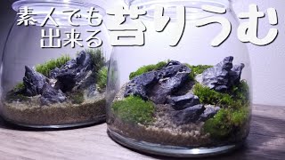 素人がつくる【自然採取苔りうむの作り方】コケ女(コケジョ)が増えてるらしいから