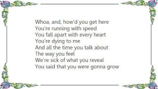 Joshua Radin - You're Not As Young Lyrics