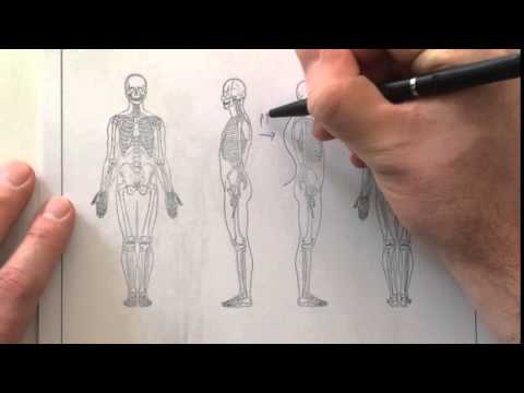 Amt Chiropractic Special