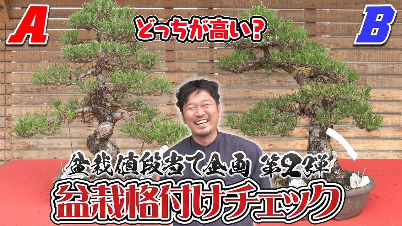盆栽職人Toshi オフィシャルウェブサイト | Bonsai Artist Toshi