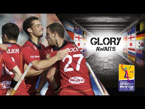 Malaysia vs Belgium - Men's Rabobank Hockey World Cup 2014 Hague Pool A [02/6/2014]
