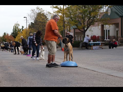 Eric Salas Colorado Dog Training Workshop - YouTube