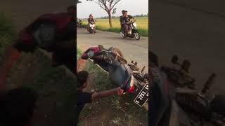 Download lagu orang mabuk lucu wkwkwk mp3 Download lagu orang mabuk lucu wkwkwk mp3