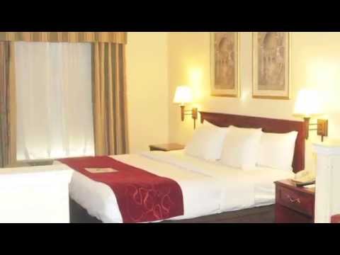 Comfort Suites - Newark, NJ