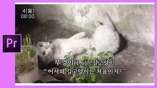🎵[프리미어] type toop 입력/수정 인간극장 스타일 자막 만들기 premiere pro