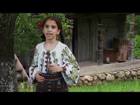 Tania Galbenu - Nu vine neica, nu vine