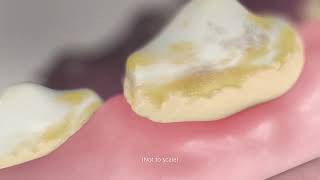 OraVet Dental Chews