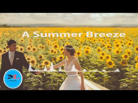 A Summer Breeze By  Sebastian Forslund [Indie Pop  Music]