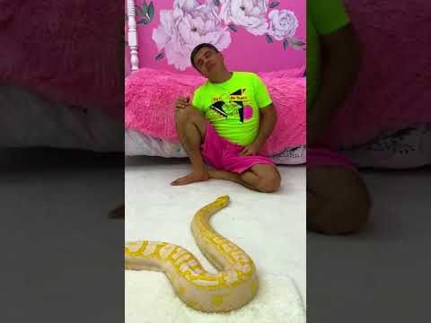 Dad scared of the snake. Funny prank from Nastya.